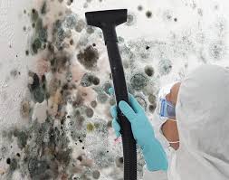 Mold Documentation for Insurance Claims in Oatfield, OR